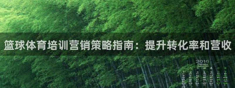 耀世集团：篮球体育培训营销策略指南：提升转化率和营收