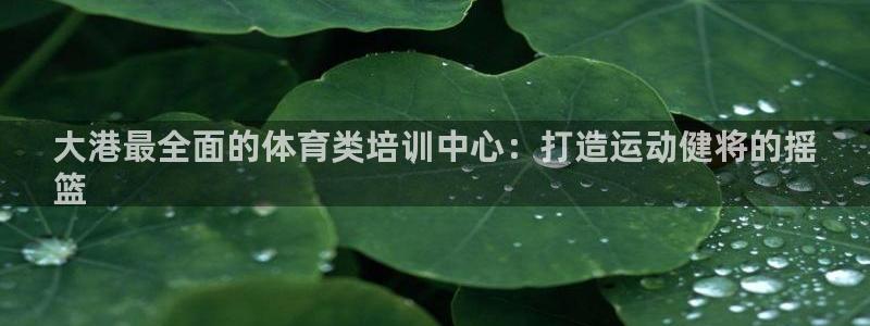 耀世平台开户联4.8.7.7.8.4他系稳定吗：大港